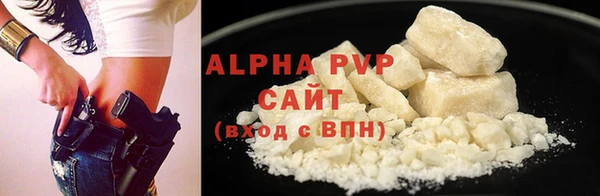 гашик Надым
