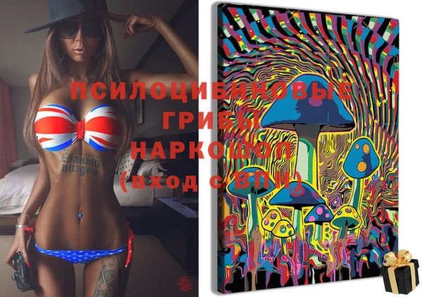 прущая мука Нея