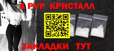 спиды Гатчина