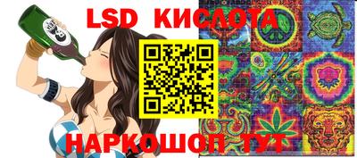 спиды Гатчина