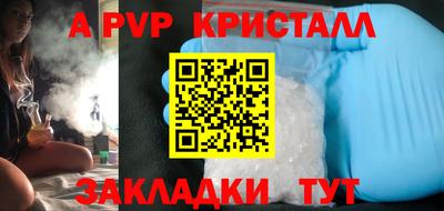 спиды Гатчина