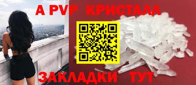 спиды Гатчина
