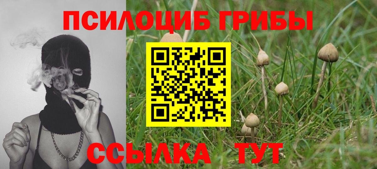 Псилоцибиновые грибы Magic Shrooms Полысаево