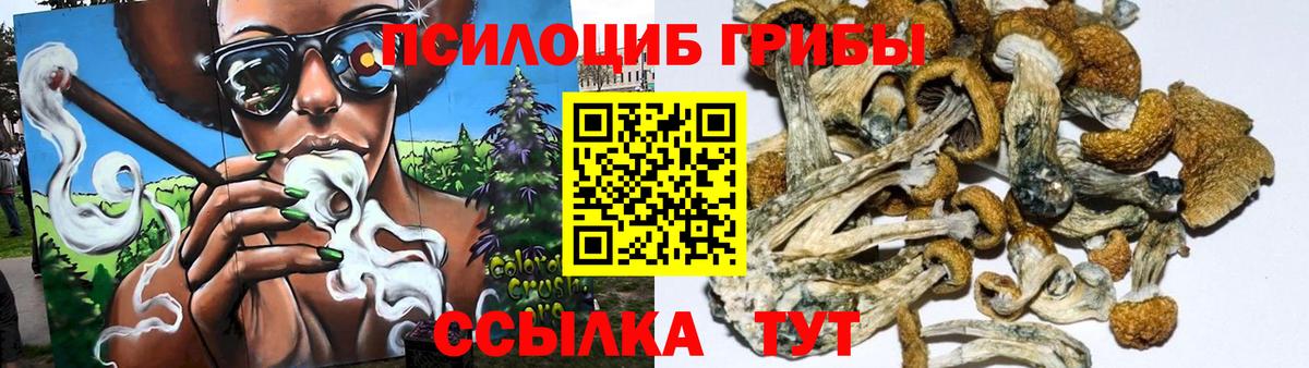 Галлюциногенные грибы Magic Shrooms  Вход с VPN  Полысаево 